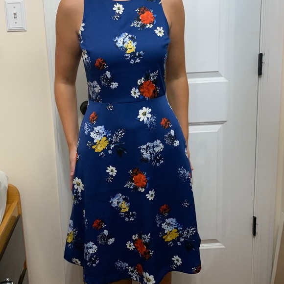 Banana Republic Blue Floral Dress - Picture 4 of 14